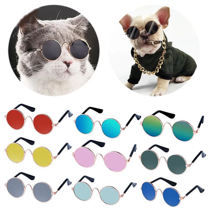 Lovely Vintage Round Cat Sunglasses - Cute Eye Wear for Pets - PetNatureLove