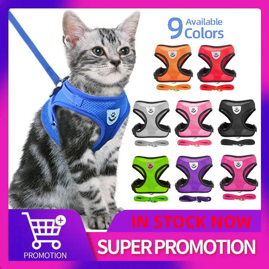 Adjustable Cat Harness and Leash Set for Small Dogs - PetNatureLove