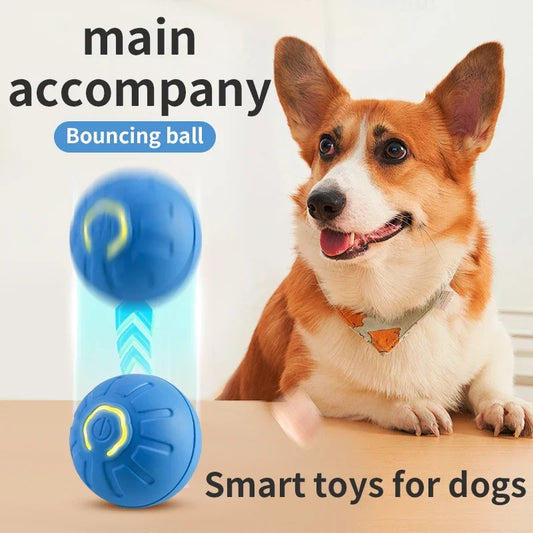 Smart Electronic Interactive Moving Ball for Dogs and Cats - PetNatureLove