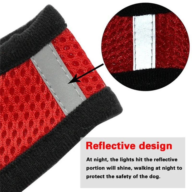 Adjustable Mesh Harness with Leash for Small Dogs and Cats - PetNatureLove