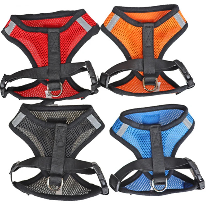 Adjustable Mesh Harness with Leash for Small Dogs and Cats - PetNatureLove