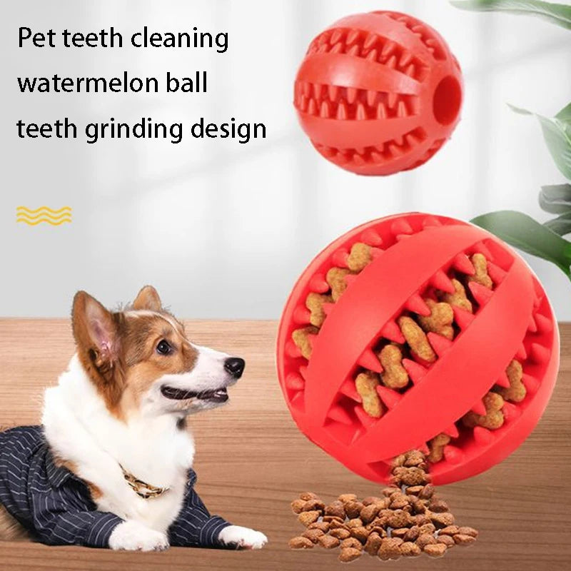 Natural Rubber Dog Chew Toy - Tooth Cleaning Treat Ball - PetNatureLove