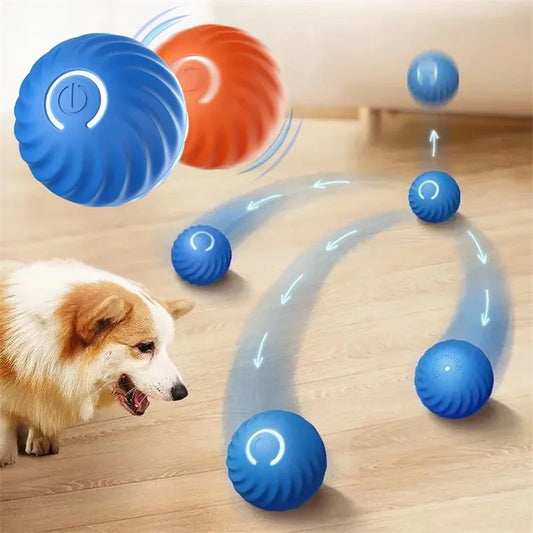 USB Rechargeable Interactive Pet Toy - PetNatureLove