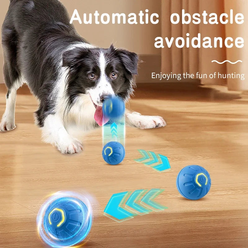 Smart Electronic Interactive Moving Ball for Dogs and Cats - PetNatureLove