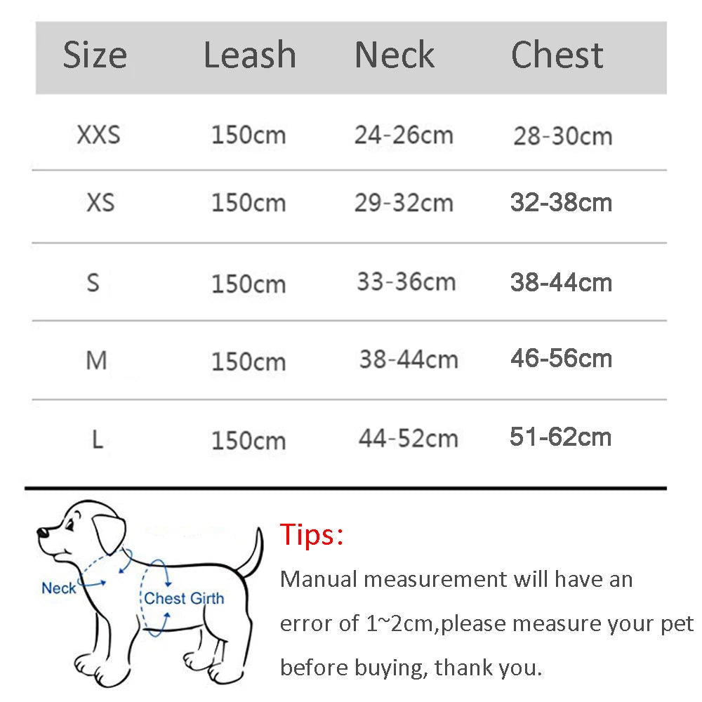 Adjustable Dog Harness and Leash Set for Small Breeds - PetNatureLove