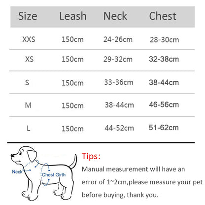 Adjustable Dog Harness and Leash Set for Small Breeds - PetNatureLove