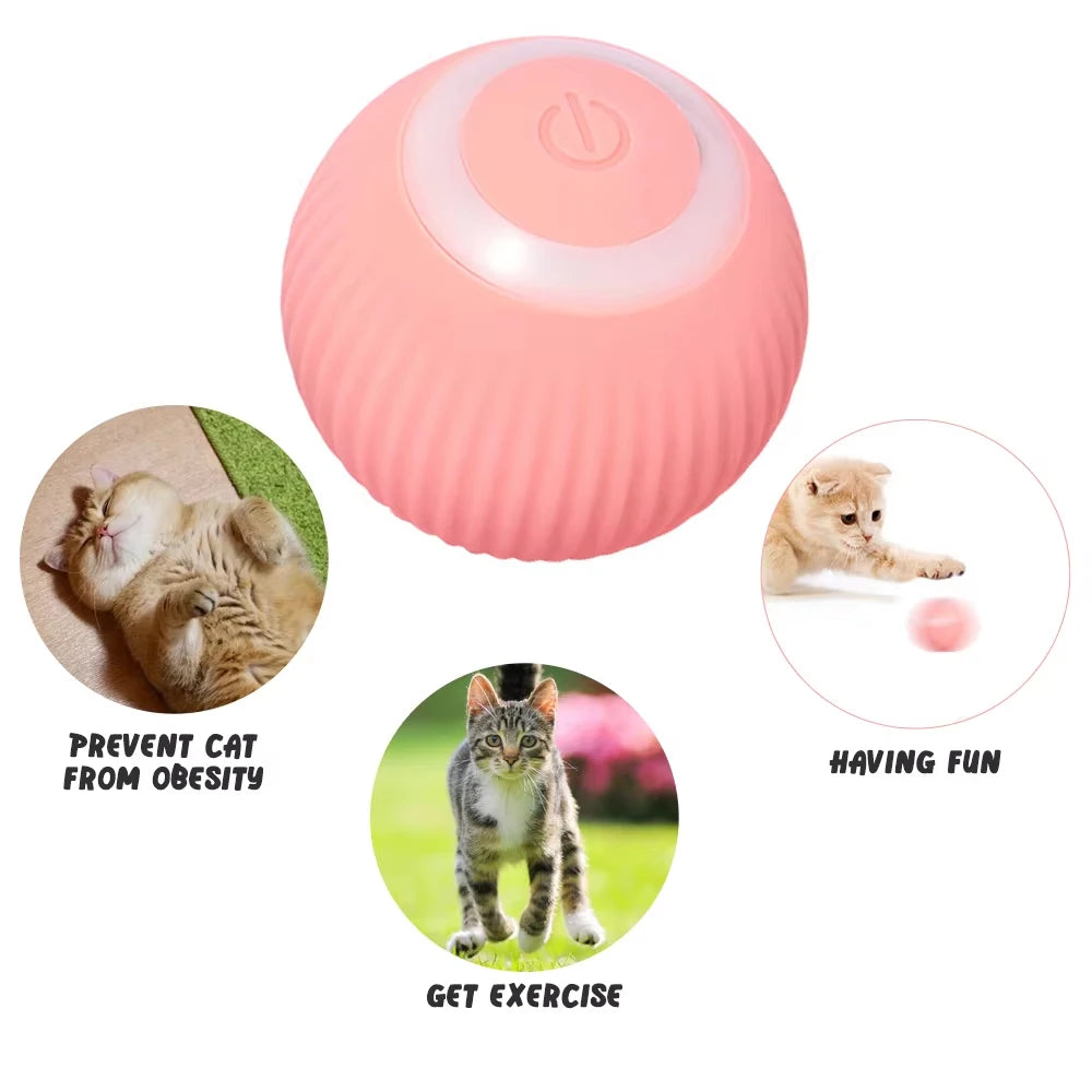 Interactive Smart Ball Toy for Cats and Dogs - PetNatureLove