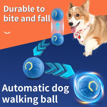 Smart Electronic Interactive Moving Ball for Dogs and Cats - PetNatureLove