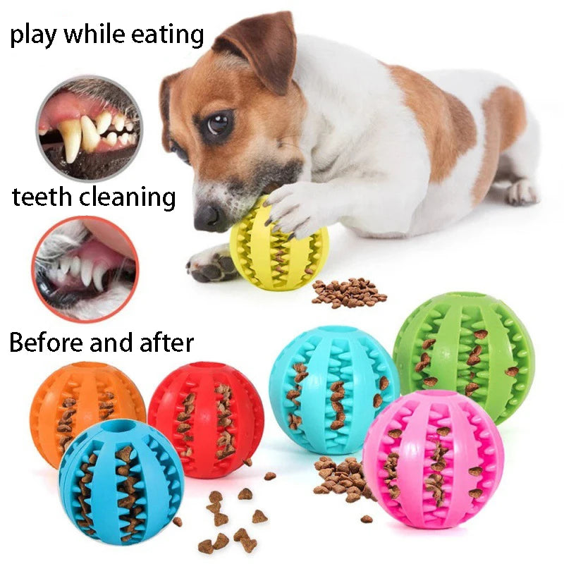 Natural Rubber Dog Chew Toy - Tooth Cleaning Treat Ball - PetNatureLove