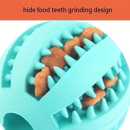 Natural Rubber Dog Chew Toy - Tooth Cleaning Treat Ball - PetNatureLove