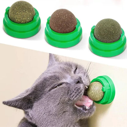 Natural Catnip Wall Stick-On Ball Toy for Cats - PetNatureLove