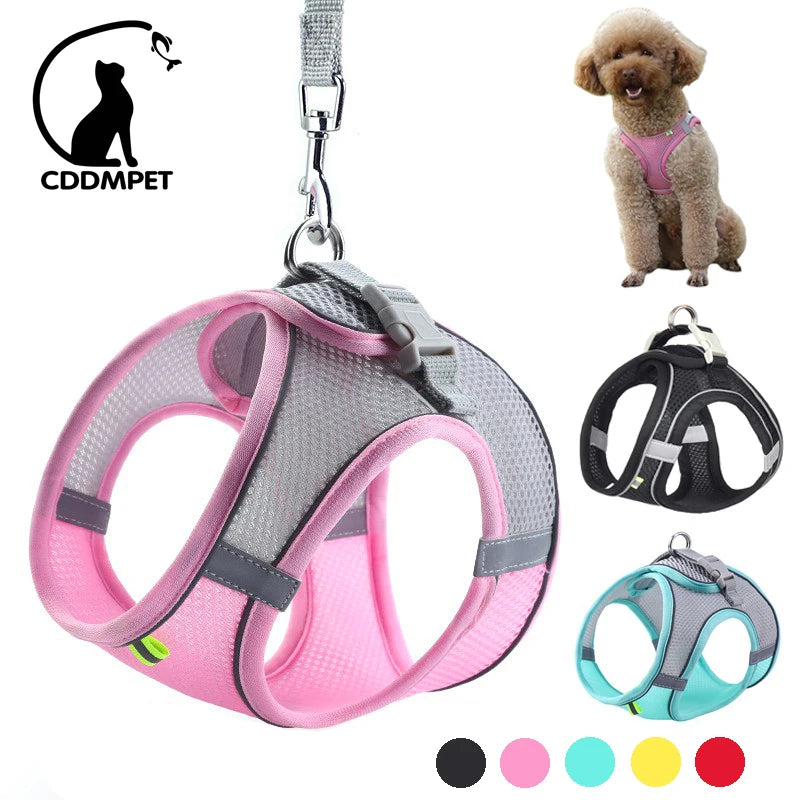 Adjustable Dog Harness and Leash Set for Small Breeds - PetNatureLove